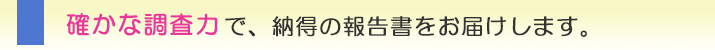 水戸市の確かな調査力で、納得の報告書をお届けします。